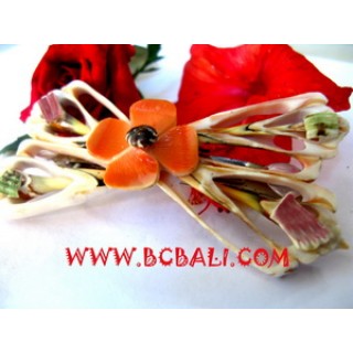 Organic Shells Hair Accessories